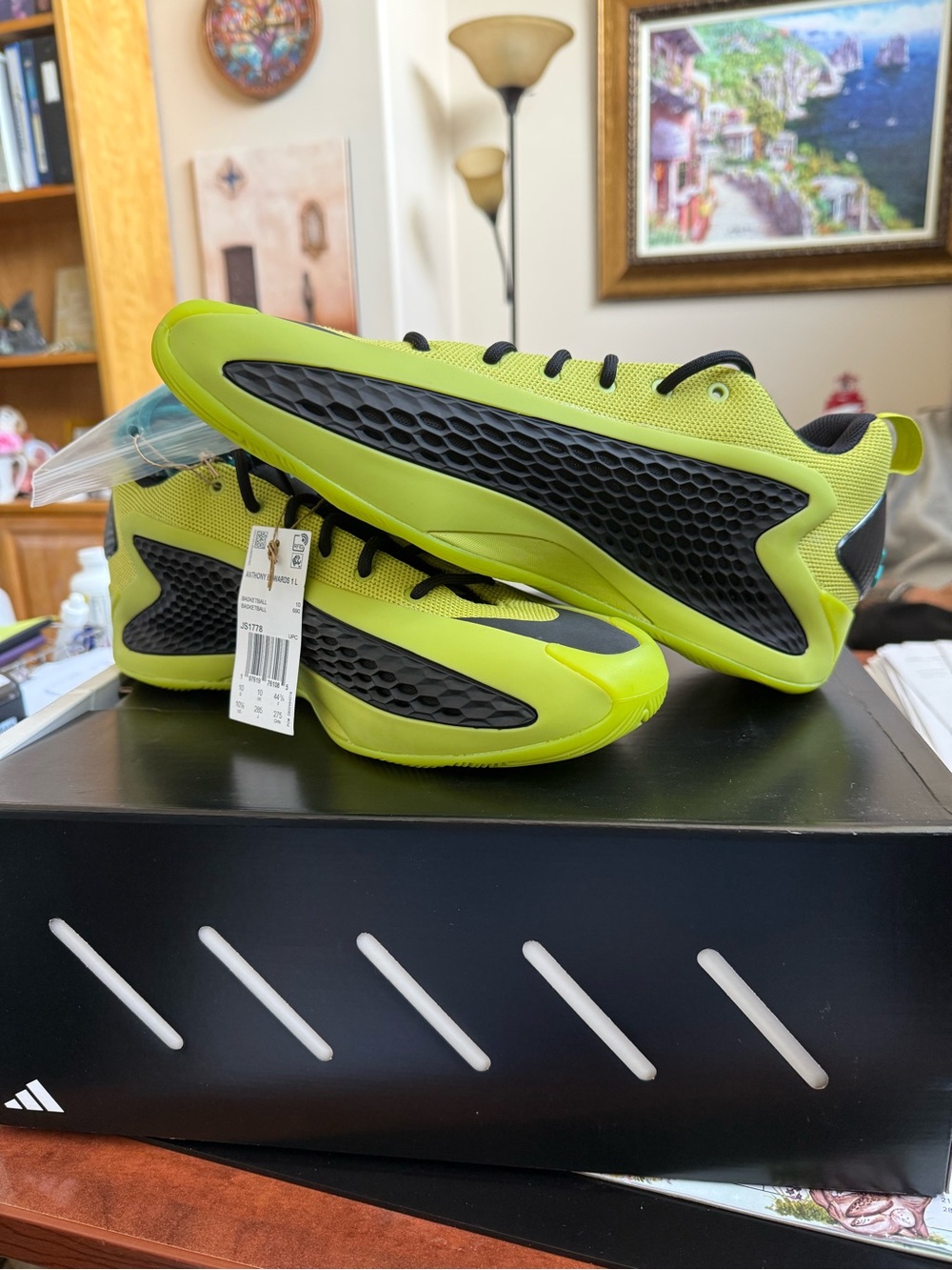NIB Anthony Edward’s 1 Low basketball ball shoes